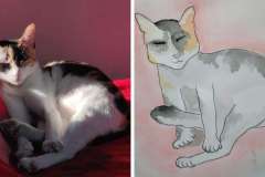 Poorly Drawn Pets