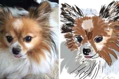 Isabel - Poorly Drawn Pets