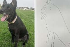 Korra - Poorly Drawn Pets