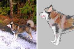 Poorly Drawn Pets-Website Template - 1