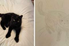 Poorly Drawn Pets-Website Template - 1