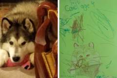 Poorly Drawn Pets-Website Template - 1