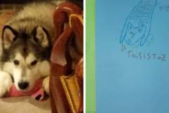 Poorly Drawn Pets-Website Template - 1