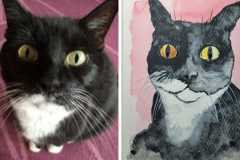 Poorly Drawn Pets-Website Template - 1