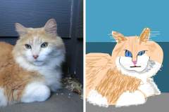 Poorly Drawn Pets-Website Template - 1