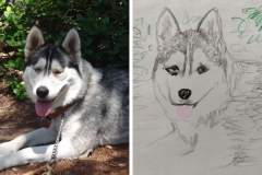 Poorly Drawn Pets-Website Template - 1