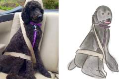 Poorly Drawn Pets-Website Template - 1