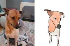 Poorly Drawn Pets-Website Template - 1