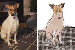 Poorly Drawn Pets-Website Template - 1