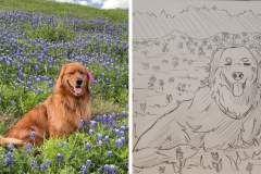Poorly Drawn Pets-Website Template - 1