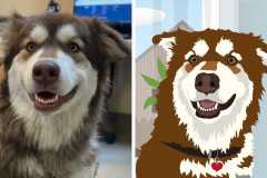 Poorly Drawn Pets-Website Template - 1