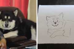 Poorly Drawn Pets-Website Template - 1