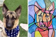 Poorly Drawn Pets-Website Template - 1