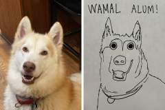 Poorly Drawn Pets-Website Template - 1