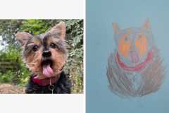 Poorly Drawn Pets-Website Template - 1