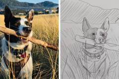 Poorly Drawn Pets-Website Template - 1