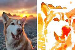 Poorly Drawn Pets-Website Template - 1