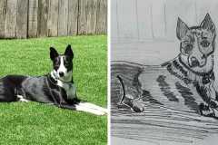 Poorly Drawn Pets-Website Template - 1