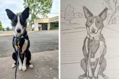 Poorly Drawn Pets-Website Template - 1