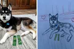 Poorly Drawn Pets-Website Template - 1