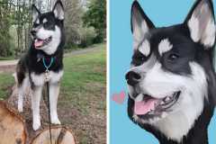 Poorly Drawn Pets-Website Template - 1
