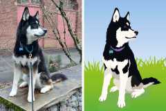 Poorly Drawn Pets-Website Template - 1