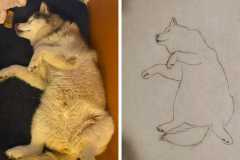Poorly Drawn Pets-Website Template - 1