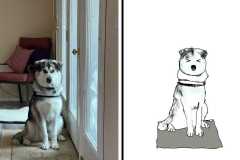 Poorly Drawn Pets-Website Template - 1
