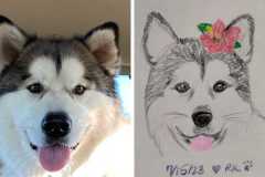 Poorly Drawn Pets-Website Template - 1