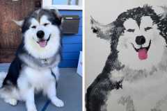 Poorly Drawn Pets-Website Template - 1