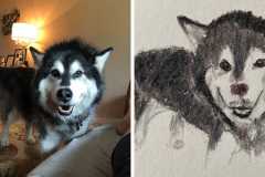 Poorly Drawn Pets-Website Template - 1