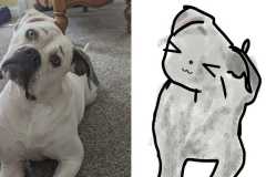 Poorly Drawn Pets-Website Template - 1