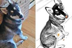 Poorly Drawn Pets-Website Template - 1