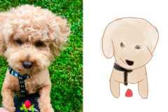 Poorly Drawn Pets-Website Template - 1