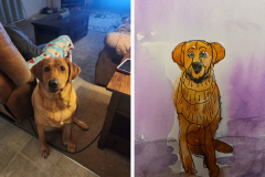 Poorly Drawn Pets-Website Template - 1