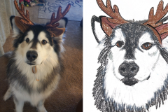 Poorly Drawn Pets-Website Template - 1