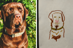 Poorly Drawn Pets-Website Template - 1
