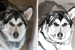 Poorly Drawn Pets-Website Template - 1