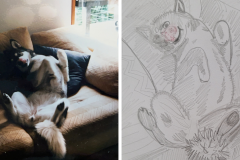 Poorly Drawn Pets-Website Template - 1