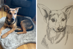 Poorly Drawn Pets-Website Template - 1