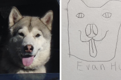 Poorly Drawn Pets-Website Template - 1