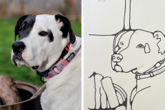 Poorly Drawn Pets-Website Template - 1