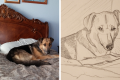 Poorly Drawn Pets-Website Template - 1