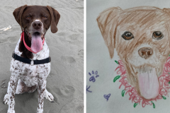Poorly Drawn Pets-Website Template - 1