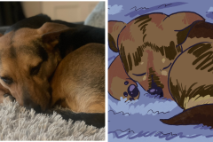 Poorly Drawn Pets-Website Template - 1