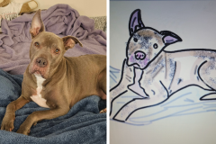 Poorly Drawn Pets-Website Template - 1