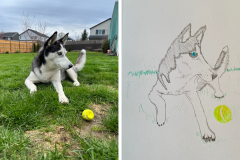 Poorly Drawn Pets-Website Template - 1