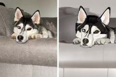 Poorly Drawn Pets-Website Template - 1