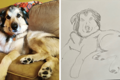 Poorly Drawn Pets-Website Template - 1