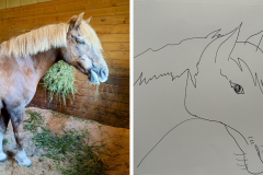 Poorly Drawn Pets-Website Template - 1